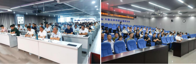 1725264541800.png 1725264541800.png